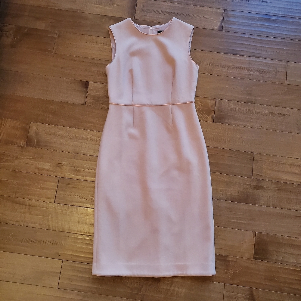 Ann Taylor Blush Pink Sheath Dress Size 2